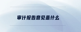 審計報告意見是什么