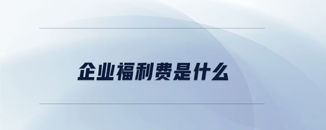 企業(yè)福利費是什么