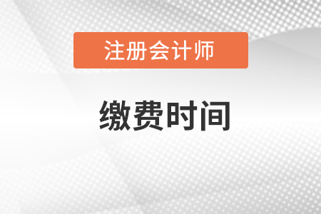 注會什么時候繳費？
