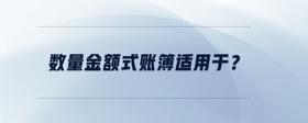 數(shù)量金額式賬簿適用于？