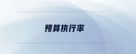 預(yù)算執(zhí)行率