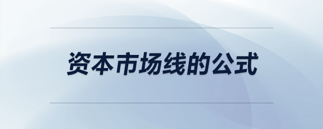 資本市場線的公式
