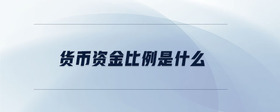 貨幣資金比例是什么