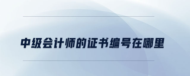 中級會計師的證書編號在哪里