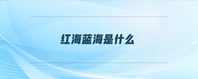 紅海藍海是什么