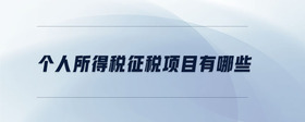 個(gè)人所得稅征稅項(xiàng)目有哪些