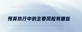 預(yù)算執(zhí)行中的主要風(fēng)險(xiǎn)有哪些