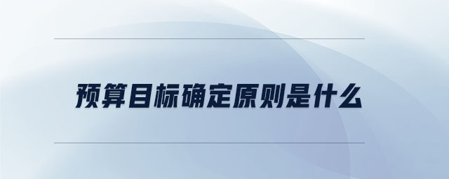 預算目標確定原則是什么