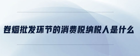 卷煙批發(fā)環(huán)節(jié)的消費(fèi)稅納稅人是什么