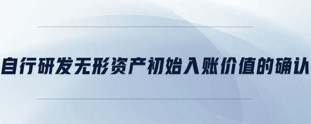 自行研發(fā)無形資產(chǎn)初始入賬價值的確認(rèn)