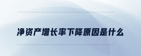 凈資產(chǎn)增長(zhǎng)率下降原因是什么