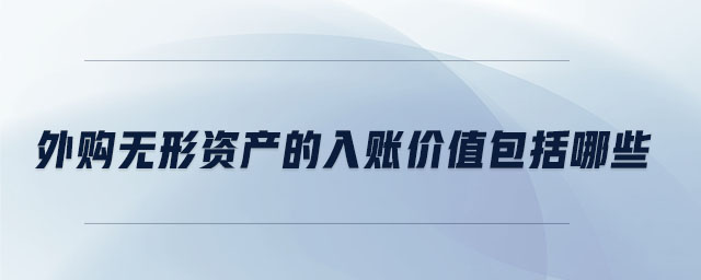 外購無形資產(chǎn)的入賬價值包括哪些