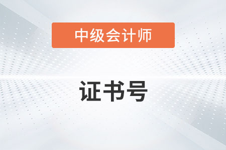 中級會計證書編碼是管理號嗎？