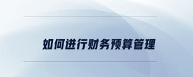 如何進(jìn)行財務(wù)預(yù)算管理