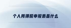個人所得稅申報表是什么
