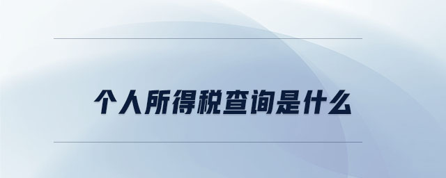 個人所得稅查詢是什么 個人所得稅查詢是什么