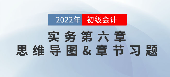 2022年《初級會計實務(wù)》第六章思維導(dǎo)圖+章節(jié)練習(xí)