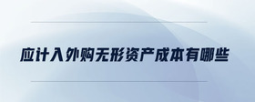 應(yīng)計(jì)入外購(gòu)無形資產(chǎn)成本有哪些