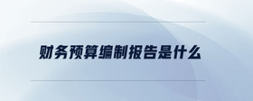 財務(wù)預(yù)算編制報告是什么