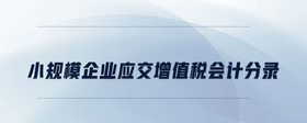 小規(guī)模企業(yè)應(yīng)交增值稅會(huì)計(jì)分錄