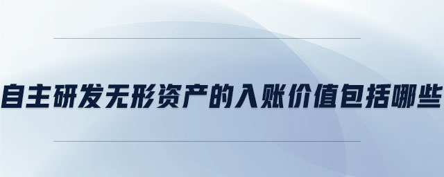自主研發(fā)無形資產的入賬價值包括哪些