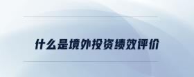 什么是境外投資績效評(píng)價(jià)
