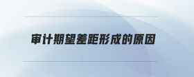 審計期望差距形成的原因