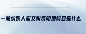 一般納稅人應(yīng)交稅費明細科目是什么