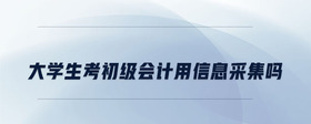 大學(xué)生考初級(jí)會(huì)計(jì)用信息采集嗎