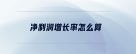 凈利潤增長率怎么算