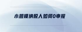 小規(guī)模納稅人如何0申報(bào)