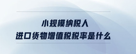 小規(guī)模納稅人進(jìn)口貨物增值稅稅率是什么