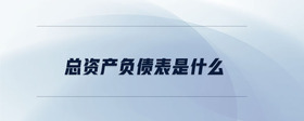 總資產(chǎn)負(fù)債表是什么