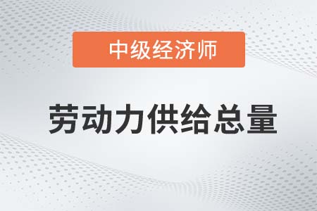 勞動力供給總量_2022中級經(jīng)濟(jì)師人力資源知識點(diǎn)