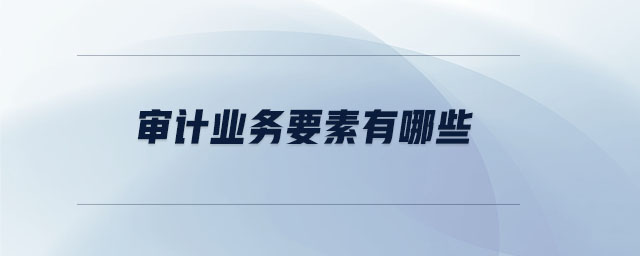 審計業(yè)務要素有哪些