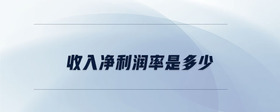 收入凈利潤率是多少