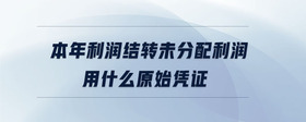 本年利潤(rùn)結(jié)轉(zhuǎn)未分配利潤(rùn)用什么原始憑證