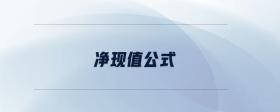 凈現(xiàn)值公式