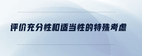 評(píng)價(jià)充分性和適當(dāng)性的特殊考慮