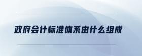 政府會(huì)計(jì)標(biāo)準(zhǔn)體系由什么組成