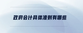 政府會(huì)計(jì)具體準(zhǔn)則有哪些