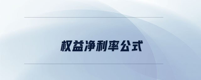權(quán)益凈利率公式