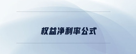 權(quán)益凈利率公式