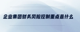 企業(yè)集團財務(wù)風(fēng)險控制重點是什么