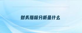 財務(wù)指標分析是什么