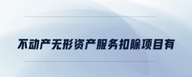 不動(dòng)產(chǎn)無形資產(chǎn)服務(wù)扣除項(xiàng)目有
