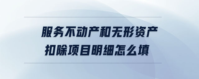 服務(wù)不動產(chǎn)和無形資產(chǎn)扣除項目明細怎么填