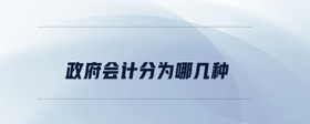 政府會計分為哪幾種