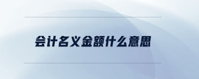 會計名義金額什么意思