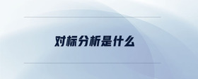 對(duì)標(biāo)分析是什么